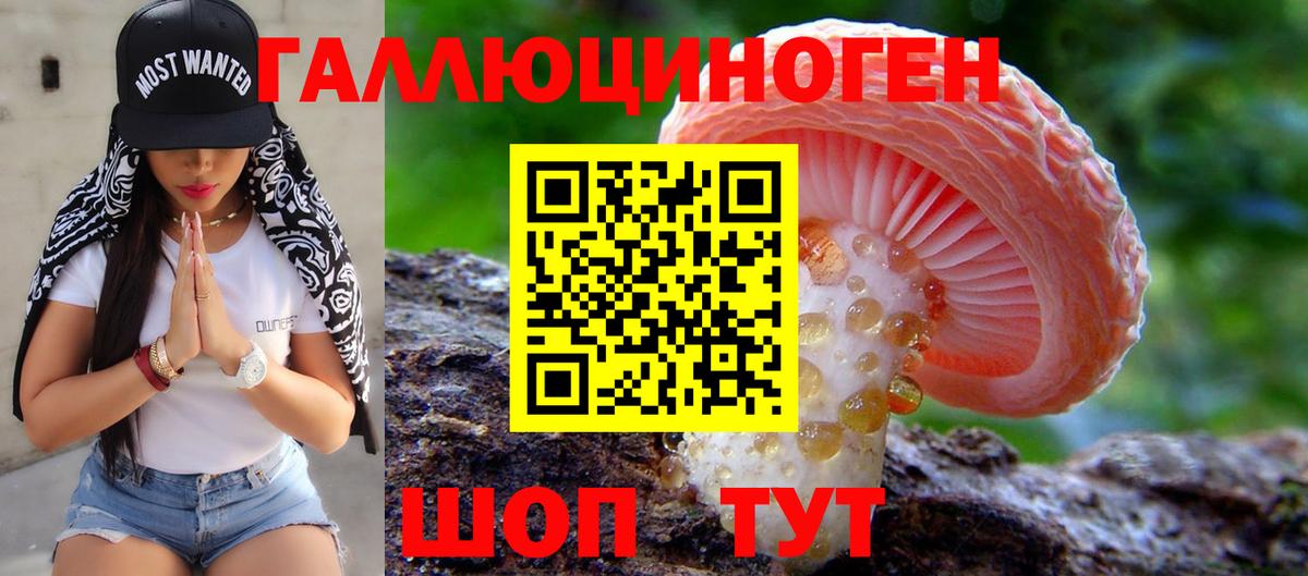 Мценск  Галлюциногенные грибы Psilocybine cubensis  Вход с VPN 
