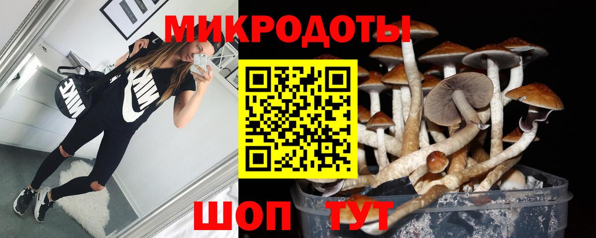 Псилоцибиновые грибы мухоморы Мценск